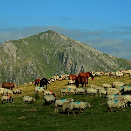 Hostal Mendilatz Orbaiceta Bagian luar foto